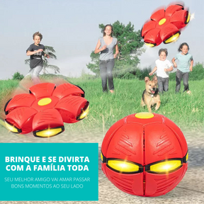 PetBall® Bola Voadora para Cães [COMPRE 1 LEVE 2]