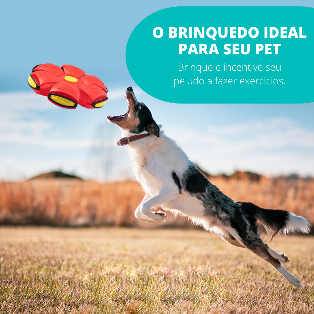 [COMPRE 1 LEVE 2] Pet Ball - Um jogo de aventuras para seu bichinho
