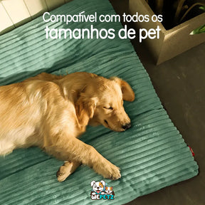 Caminha Pet Dream Super Confortável para Pet