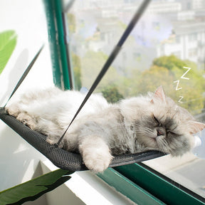 Caminha Suspensa Soft | Para Gato